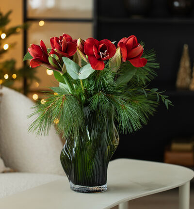 Rød amaryllisbukett  Rød amaryllisbukett